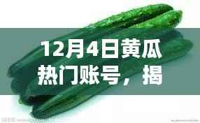 揭秘黄瓜巷深处的秘密花园,特色小店的魅力