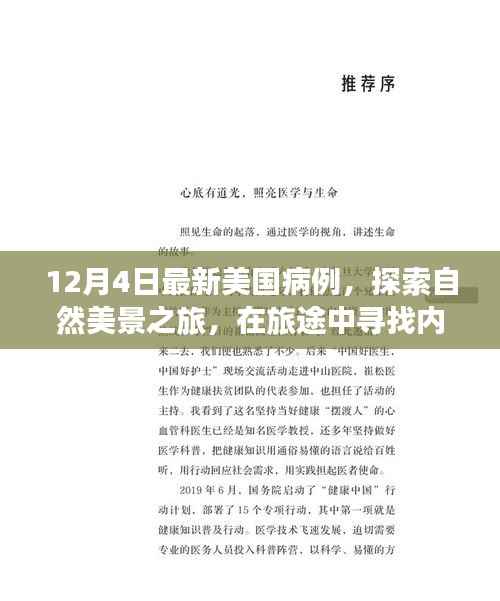 美国病例最新动态下的自然探索之旅,寻找内心平静与别样旅行启示