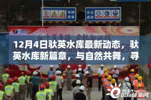 驮英水库最新动态,与自然共舞,探寻宁静港湾的新篇章