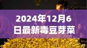 豆芽菜种植进阶,从新手到专家,最新毒豆芽菜种植指南(2024版)
