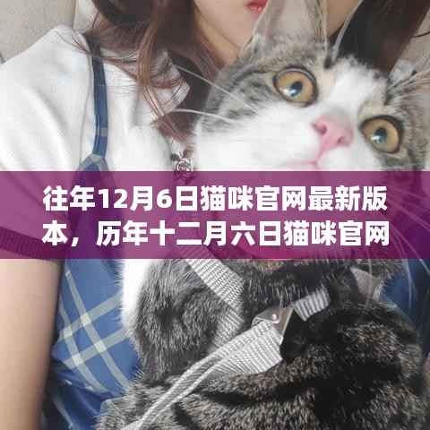 历年十二月六日猫咪官网新版深度解析,背景、影响与特定时代地位探索