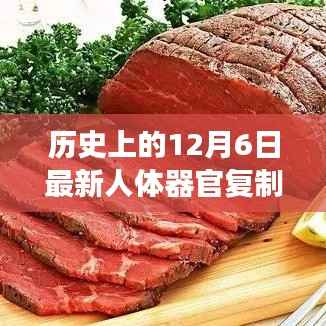 历史上的十二月六日,人体器官复制器的诞生与演进里程碑事件