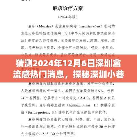 探秘深圳小巷特色美食,禽流感热点下的美食奇遇与未来预测(2024年12月6日)