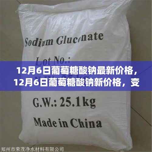 12月6日葡萄糖酸钠价格动态,学习之旅中的自信与成就感之源