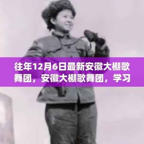 安徽大棚歌舞团,学习变化的力量,自信与成就感的源泉历年回顾与展现