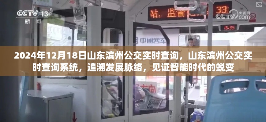 山东滨州公交实时查询系统,智能时代的蜕变与发展脉络追溯