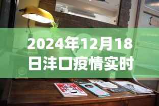 沣口疫情实时动态与角落特色小店探寻,2024年12月18日最新资讯