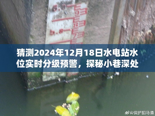 水电站水位实时分级预警探秘,小巷特色小店揭示未来趋势与2024年预测分析