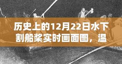 温馨时光,水下割船桨的奇妙记忆与实时画面图