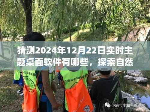 未来桌面软件的奇妙探索,2024年12月22日主题桌面软件猜想与内心宁静的追寻