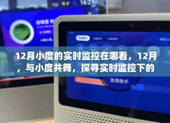 12月实时监控小度探索宁静自然之旅,与小度共舞的魅力所在