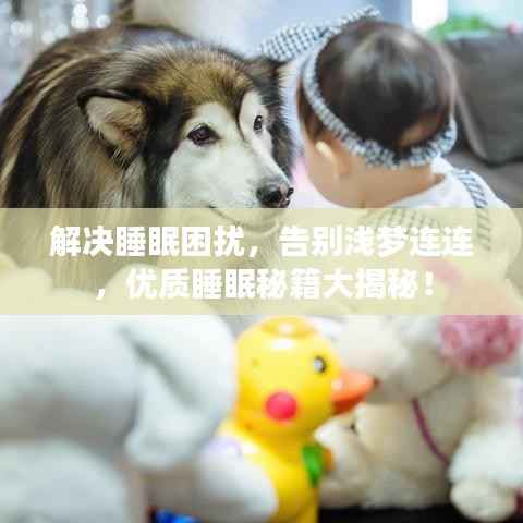 解决睡眠困扰,告别浅梦连连,优质睡眠秘籍大揭秘!