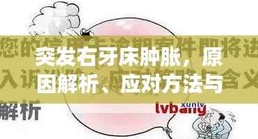 突发右牙床肿胀,原因解析、应对方法与预防策略