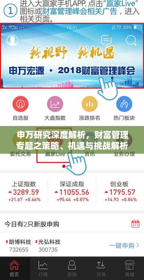 申万研究深度解析,财富管理专题之策略、机遇与挑战解析