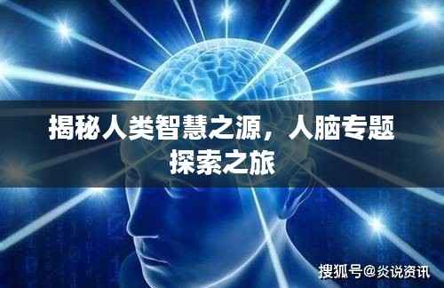 揭秘人类智慧之源,人脑专题探索之旅