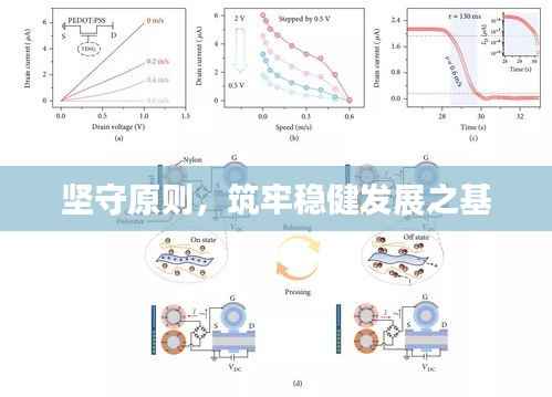 坚守原则,筑牢稳健发展之基