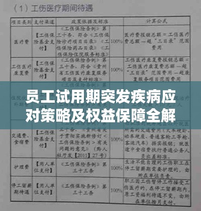 员工试用期突发疾病应对策略及权益保障全解析