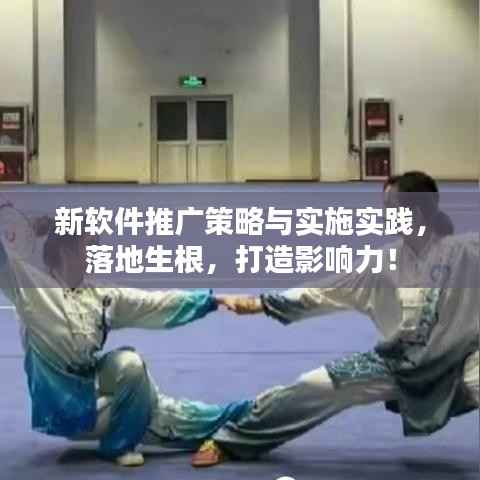 新软件推广策略与实施实践,落地生根,打造影响力!