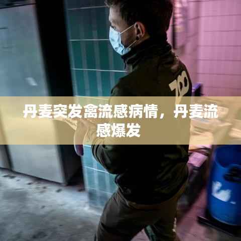 丹麦突发禽流感病情,丹麦流感爆发