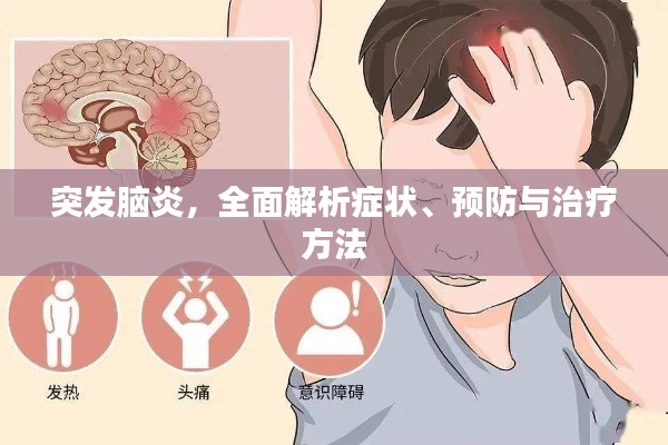 突发脑炎,全面解析症状、预防与治疗方法