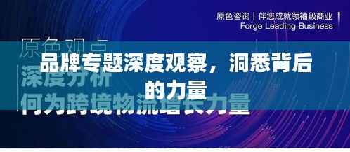 品牌专题深度观察,洞悉背后的力量