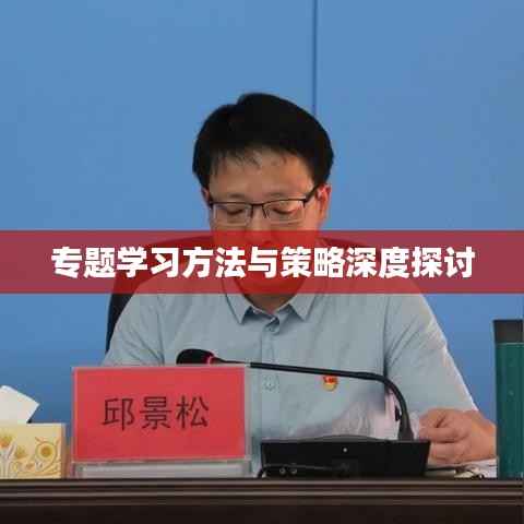 专题学习方法与策略深度探讨