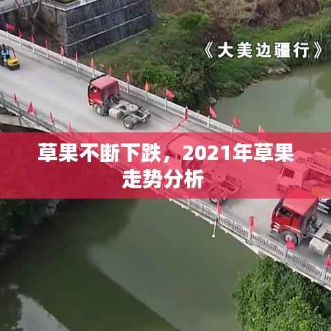 草果不断下跌,2021年草果走势分析