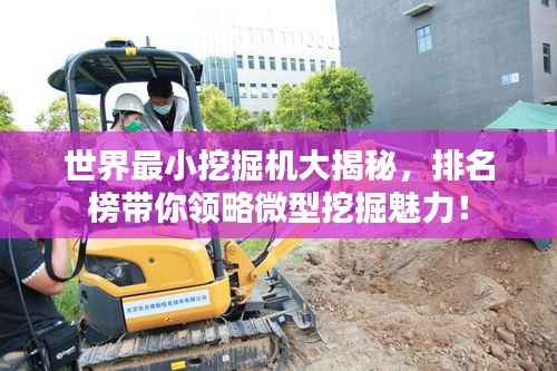 世界最小挖掘机大揭秘,排名榜带你领略微型挖掘魅力!
