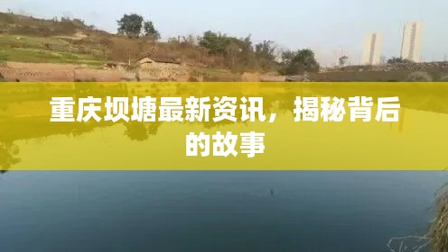 重庆坝塘最新资讯,揭秘背后的故事