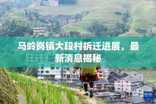 马岭岗镇大段村拆迁进展,最新消息揭秘