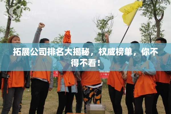 拓展公司排名大揭秘,权威榜单,你不得不看!
