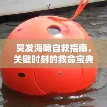 突发海啸自救指南,关键时刻的救命宝典