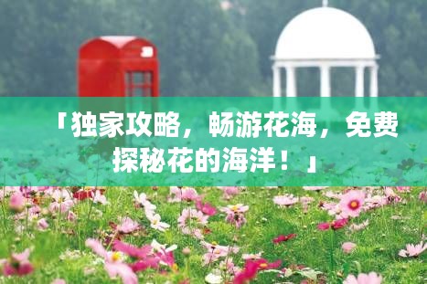 「独家攻略,畅游花海,免费探秘花的海洋!」