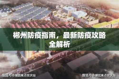 郴州防疫指南,最新防疫攻略全解析