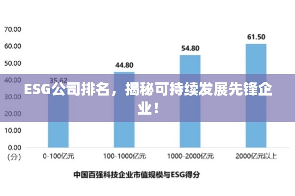 ESG公司排名,揭秘可持续发展先锋企业!