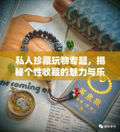 私人珍藏玩物专题,揭秘个性收藏的魅力与乐趣