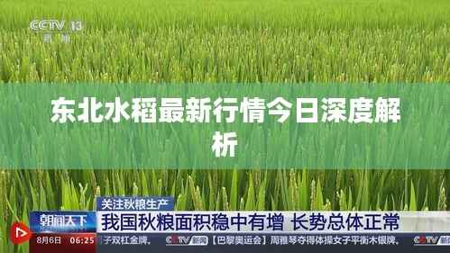 feizhujianyu