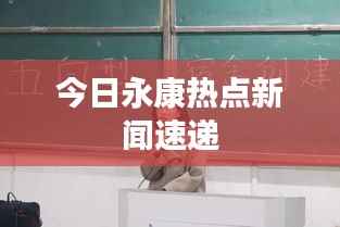 今日永康热点新闻速递