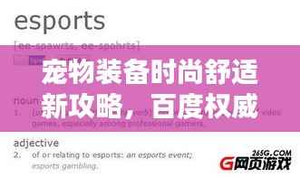 宠物装备时尚舒适新攻略,百度权威收录!