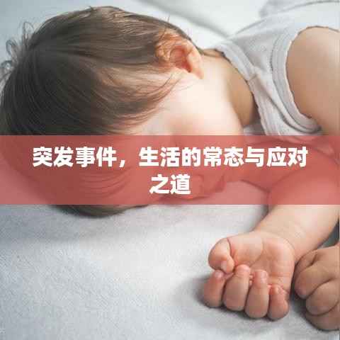 功成名就