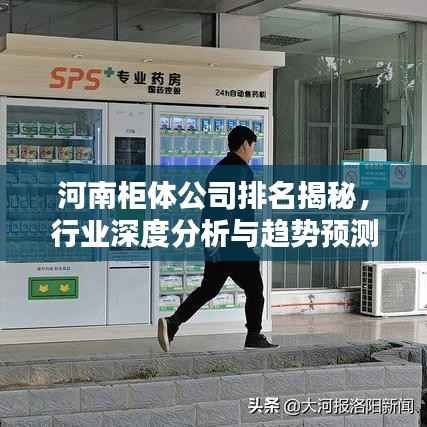 河南柜体公司排名揭秘,行业深度分析与趋势预测