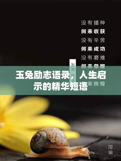 玉兔励志语录,人生启示的精华短语