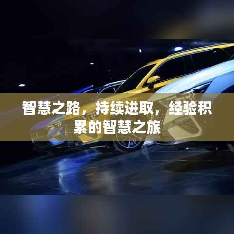 智慧之路,持续进取,经验积累的智慧之旅