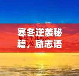 寒冬逆袭秘籍,励志语录助你跨越困境,迎接曙光!