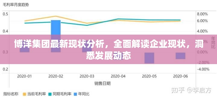 博洋集团最新现状分析,全面解读企业现状,洞悉发展动态