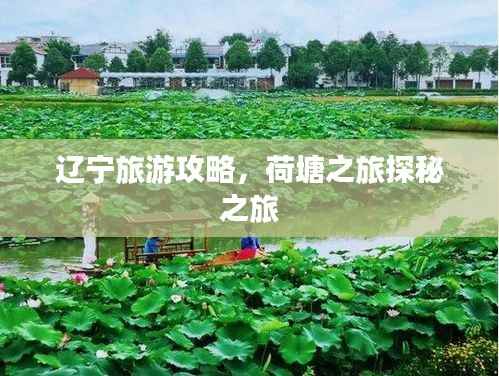 辽宁旅游攻略,荷塘之旅探秘之旅
