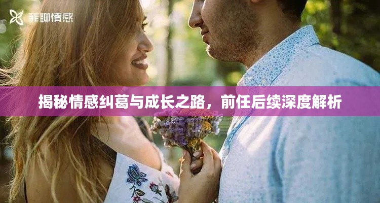 揭秘情感纠葛与成长之路,前任后续深度解析