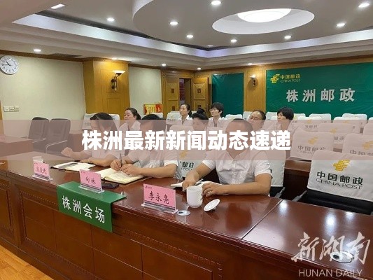 株洲最新新闻动态速递