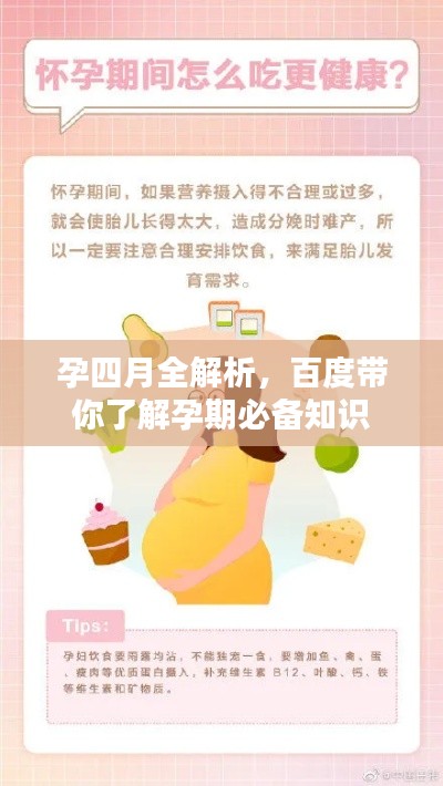 孕四月全解析,百度带你了解孕期必备知识