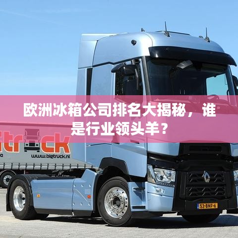 欧洲冰箱公司排名大揭秘,谁是行业领头羊?